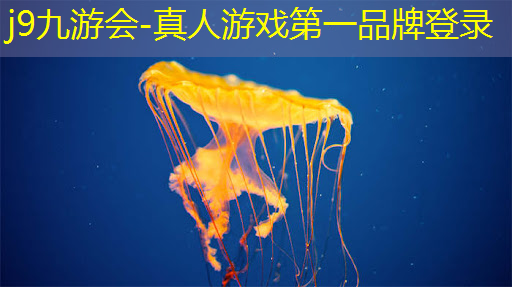 插画与游戏原画区别大吗