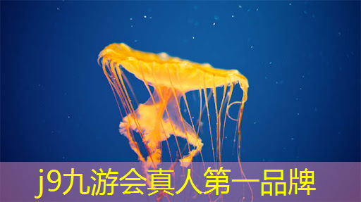 j9九游会官网-真人游戏第一品牌：日本电影赌命游戏3D