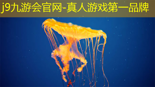 j9九游会官网-真人游戏第一品牌：游戏抖音程序入口第二农夫