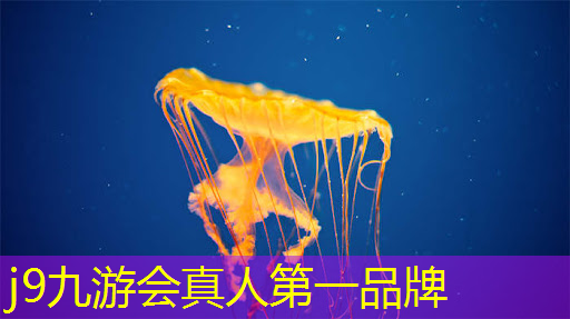 电锯人3d小游戏在哪玩