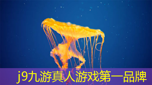 j9九游会官网-真人游戏第一品牌：3d世界游戏模拟