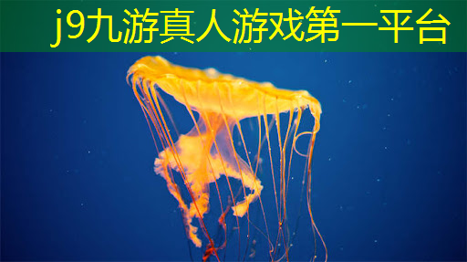 j9九游会真人第一品牌：3d数字游戏艺术技能过程