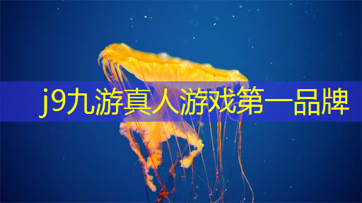 j9九游真人游戏第一平台：黑马崛起！集团公司青年电竞大赛低调选手异军突起！