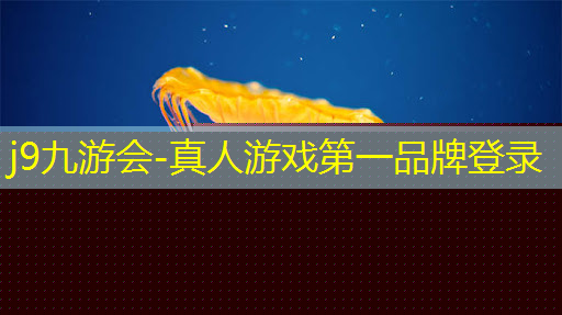 j9九游真人游戏第一平台：学影视动画制作以后能干嘛呢
