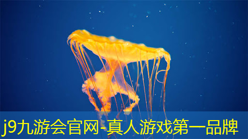 j9九游会-真人游戏第一品牌登录：学习ui设计需要学校吗