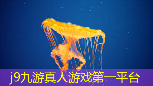 j9九游会官网-真人游戏第一品牌：游戏3d原画外包怎么样