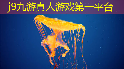 j9九游会-真人游戏第一品牌登录：九月是游戏原画师