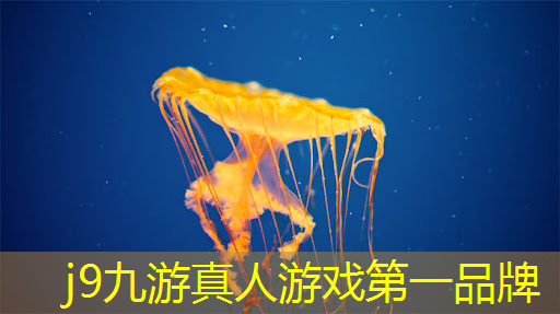j9九游会真人第一品牌：游戏原画比赛推荐作品有哪些