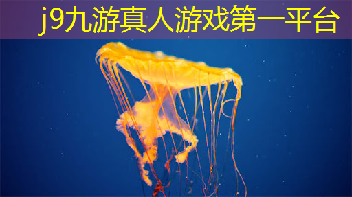 小程序修炼游戏