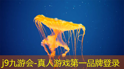 j9九游会-真人游戏第一品牌登录：玩得爽的小程序游戏有哪些