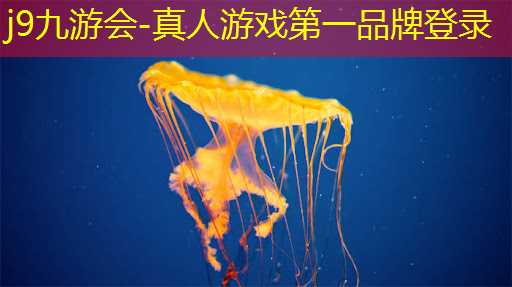 j9九游会真人第一品牌：3d游戏没有跳跃怎么办