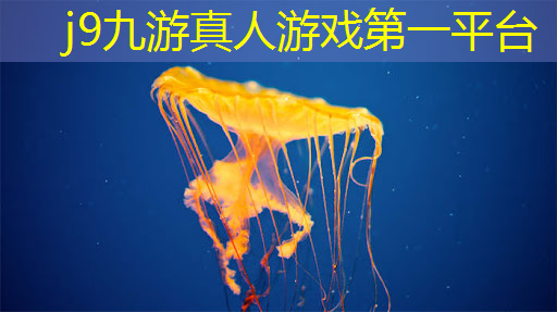 游戏抖音程序入口第二农夫