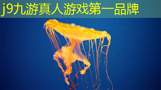 电锯人3d小游戏在哪玩