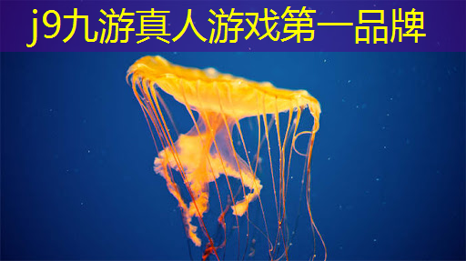 3d数字游戏艺术技能过程
