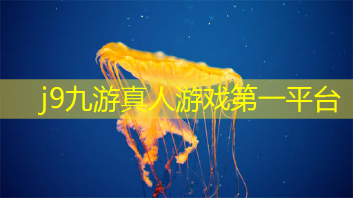 游戏原画设计专业条件是什么