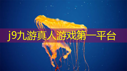 黑马崛起！集团公司青年电竞大赛低调选手异军突起！