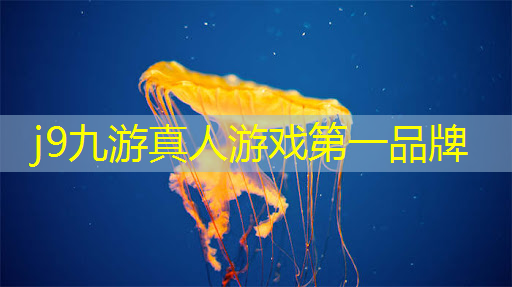 游戏卡片程序