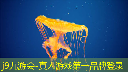 打僵尸的3d电脑游戏叫什么