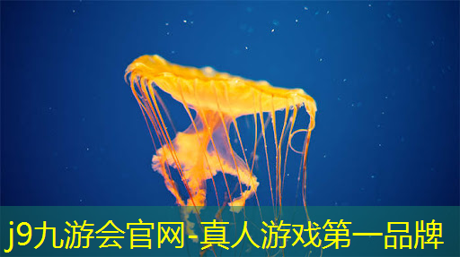 老游戏3d射击动画