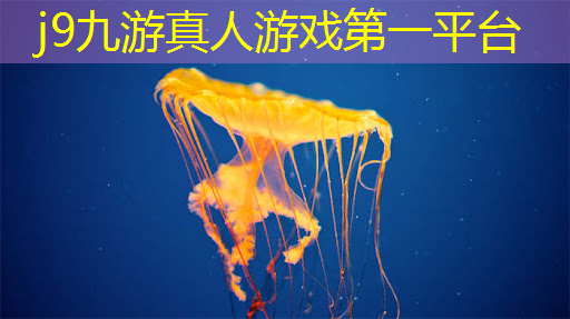 游戏设计专业学原画嘛