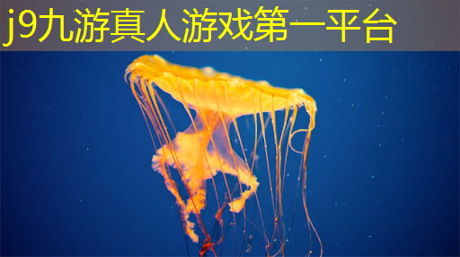 3d游戏没有跳跃怎么办
